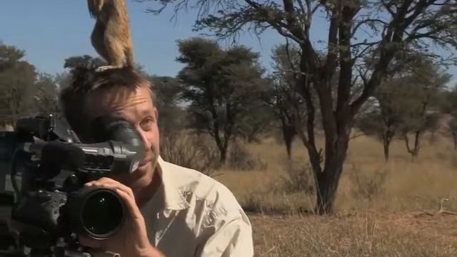 Использовал его как башню,чтобы осмотреть окрестность смотреть онлайн