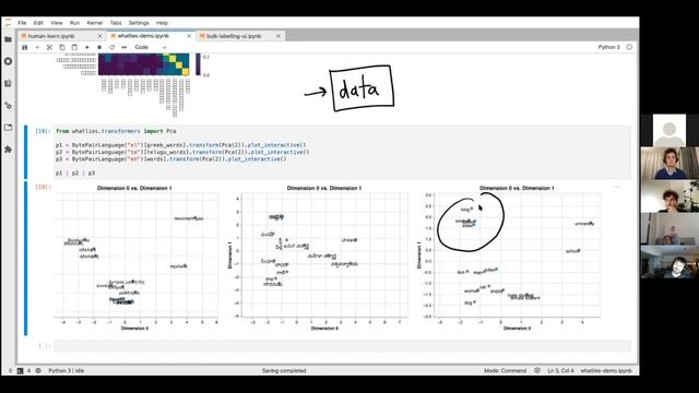Pydata Berlin Meetup February 2021: Bulk Labelling смотреть онлайн