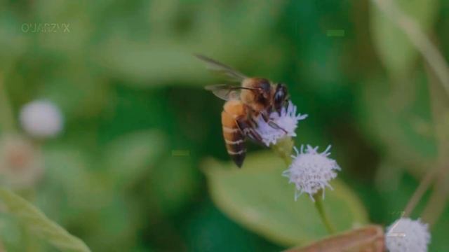 xxx का असली मतलब क्या होता है? | What is the Real Meaning of xxx? смотреть онлайн