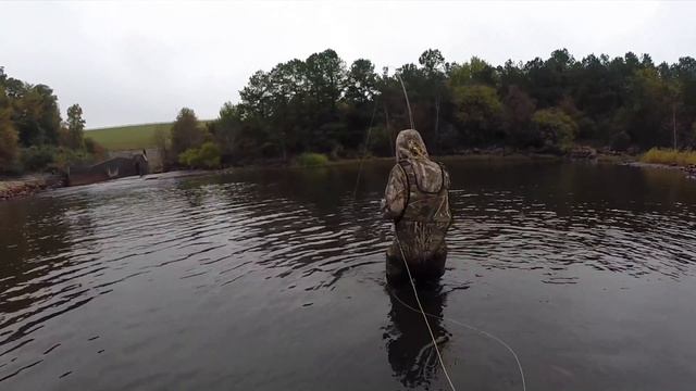 What Did I Catch On The Fly?? смотреть онлайн