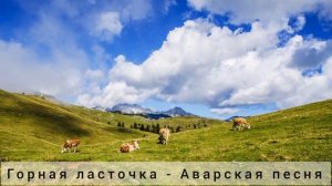 Горная ласточка - Аварская песня