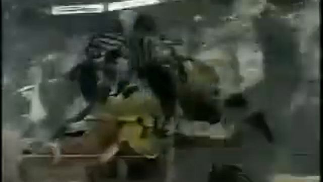Sergei Samsonov Fights Sami Kapanen (2002)
