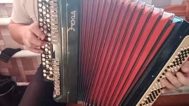 Виновата ли я?Песня На Баяне! смотреть онлайн