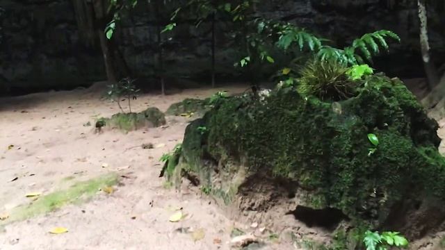 Вальядолид, секретные сеноты и Чичен Ица | Valladolid, secret cenotes and Chichen Itza смотреть онлайн