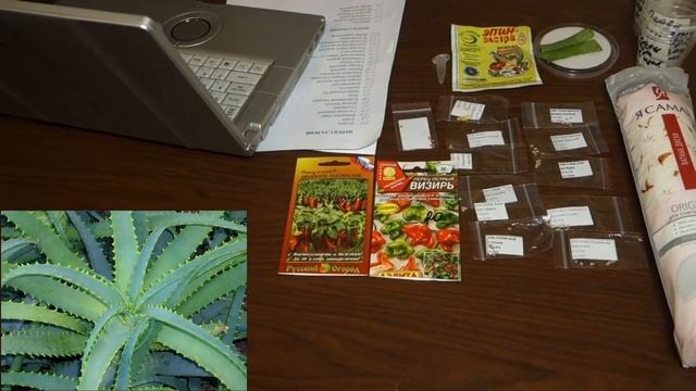 Подготовка семян к посеву смотреть онлайн