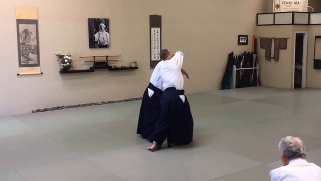 Aikido Seminar: Effortless Effort - Part Two смотреть онлайн