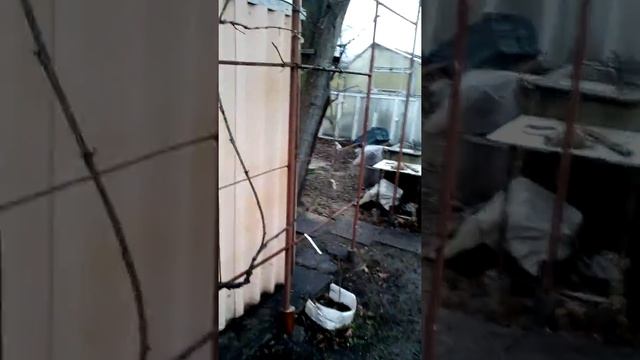 Утепляем киви