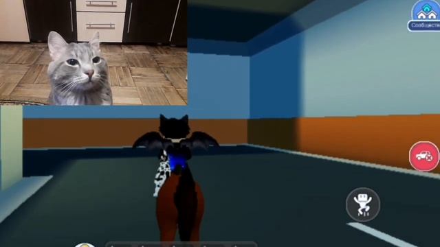 ТИША ПОСТРОИЛ ЗАМОК? В РОБЛОКС/LIVETOPIA/ROBLOX/КОТ ТИША смотреть онлайн