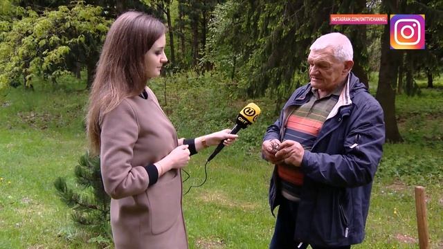 Как бороться с кротами на дачном участке? смотреть онлайн