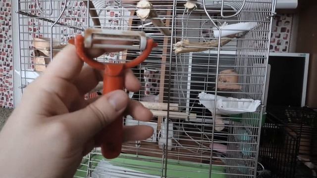 Как чистить птичью клетку, как почистить жердочки и облегчить уборку дна клетки. Щеглы засранцы :) смотреть онлайн