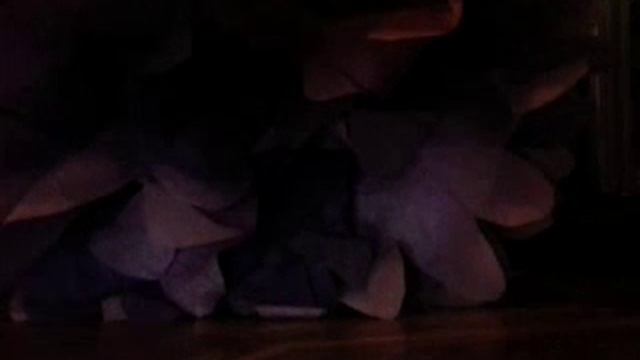 мой новый кошелек! смотреть онлайн