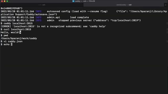 Caddy Server API смотреть онлайн