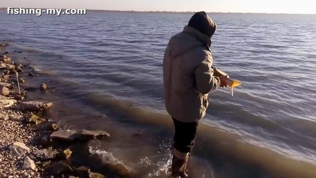 Рыбалка на Карпа и Амура в октябре 2015 смотреть онлайн