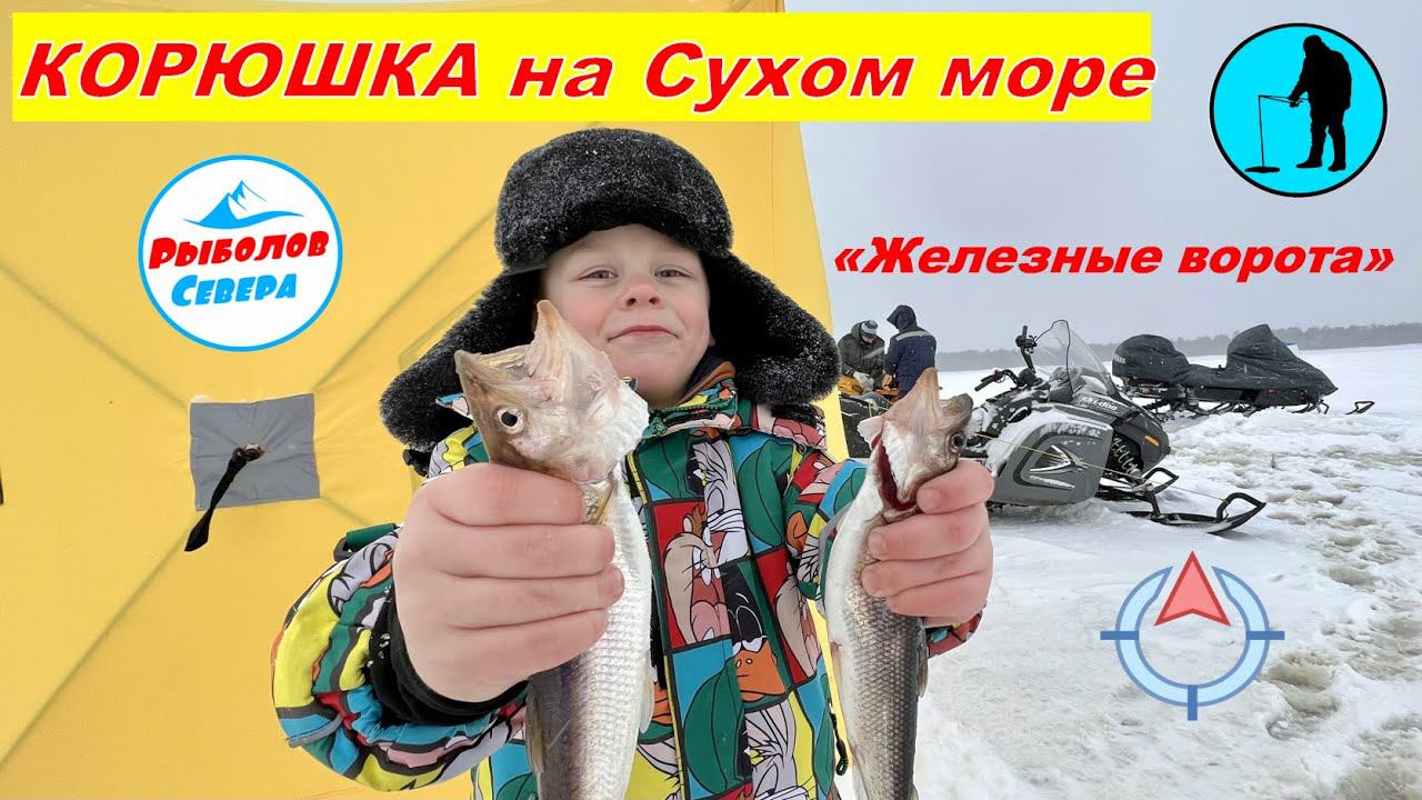 ✅РЫБАЛКА НА КОРЮХА С МАТВЕЕМ | ЖЕЛЕЗНЫЕ ВОРОТА | БЕЛОЕ МОРЕ | СУХОЕ МОРЕ #рыболов_севера смотреть онлайн