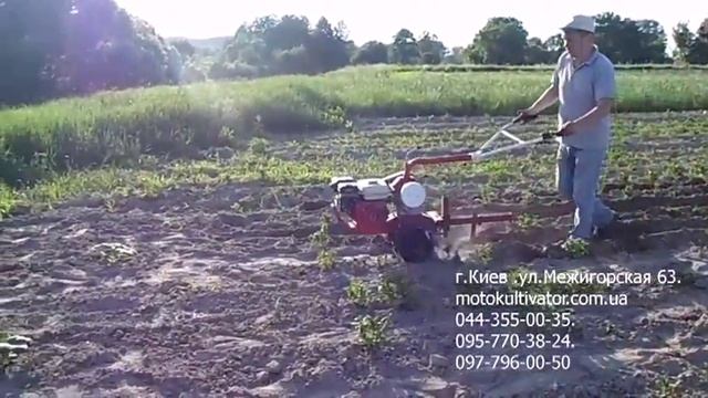 Окучивание мотоблоком м1050 Китайский Фаворит Картошка смотреть онлайн