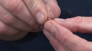 Как насадить опарыша на крючок правильно? Секреты рыбалки от Юрия Радугина.