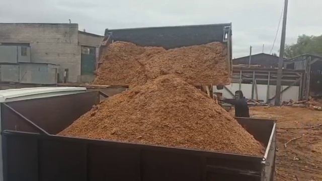 Опилки берёзовые. смотреть онлайн