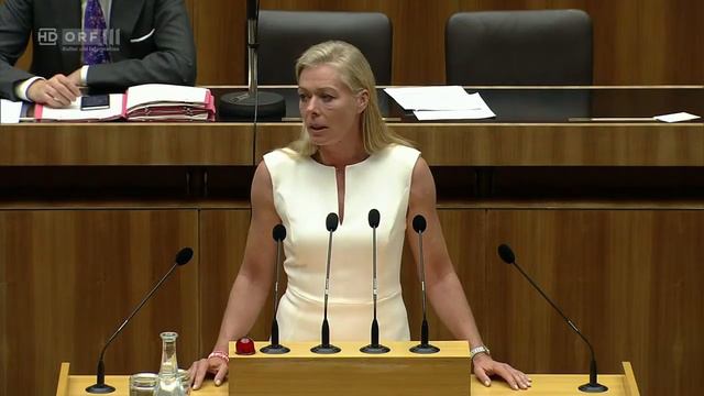 2017 06 30 134833 Nationalratssitzung zeitversetzt Ulrike Weigerstorfer Team Stronach смотреть онлайн