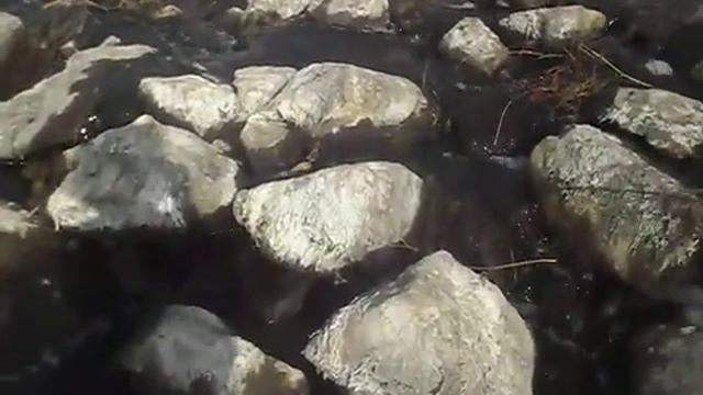 Перекаты на реке Волчья ( приток Самары) 5 смотреть онлайн