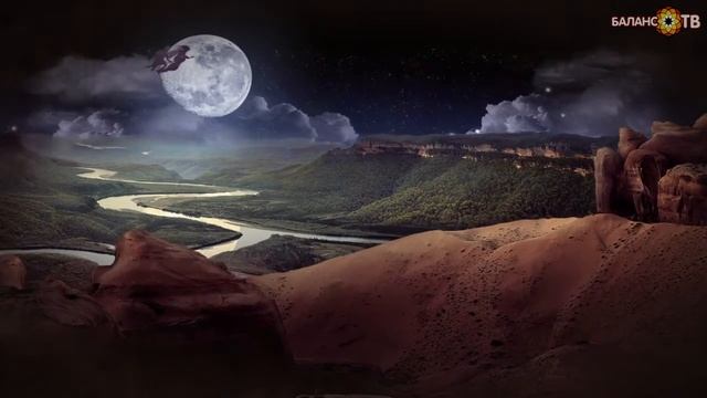 "В поисках бессмертия" Книга Рузова В.О. смотреть онлайн