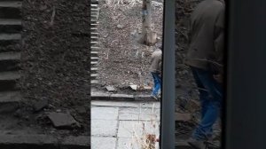 Снял на телефон нарика, как он ищет закладку