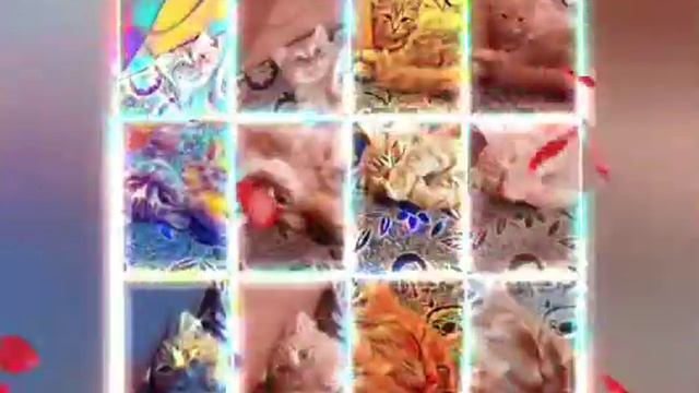 всем привет напишите в комментариях ✍️✍️ .Какое мне снять видео .Подпишись ♥️♥️❤️?? лайк поставьте смотреть онлайн