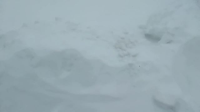 20 января 2024 г. смотреть онлайн