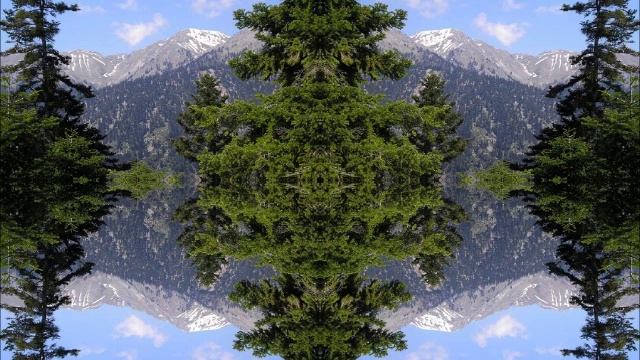 Blotter Absorber - Stuffed Aubergine смотреть онлайн