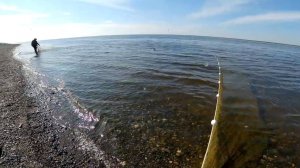 Рыбалка неводом. Первый выезд и отличный улов.