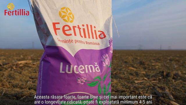 Lucerna Letizia de la Fertillia pentru randamente maxime și succes financiar смотреть онлайн