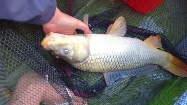 рыбалка Астрахань 2023 река Кизань смотреть онлайн