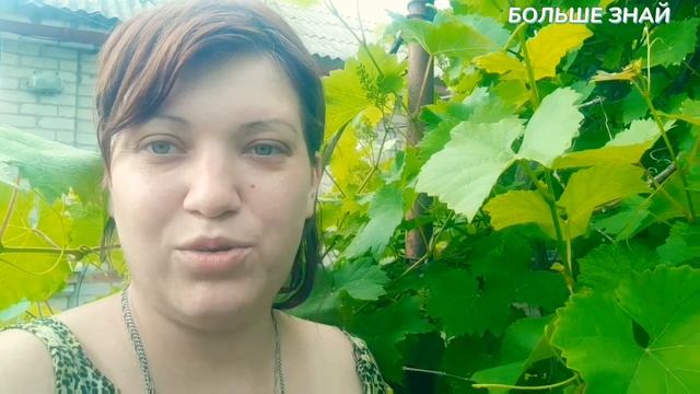 Сроки вышли,а ответа нет #госуслуги#с3до7#выплатынадетей смотреть онлайн