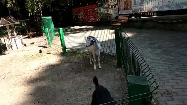 Гуляем ?️ /// Алушта ?️/// Крым в миниатюре ?️ /// Сувениры ? смотреть онлайн