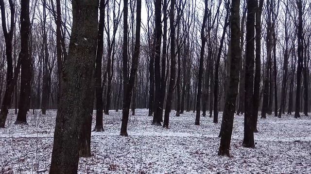 Кладезь Мудрости смотреть онлайн