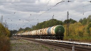 Золотая осень на участке Рязань - Шилово Московской железной дороги.