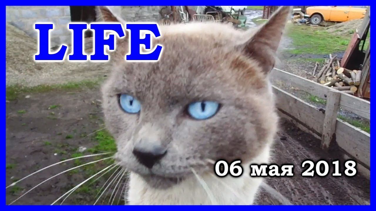 колхоз продакшн LIFE 06.05.2018