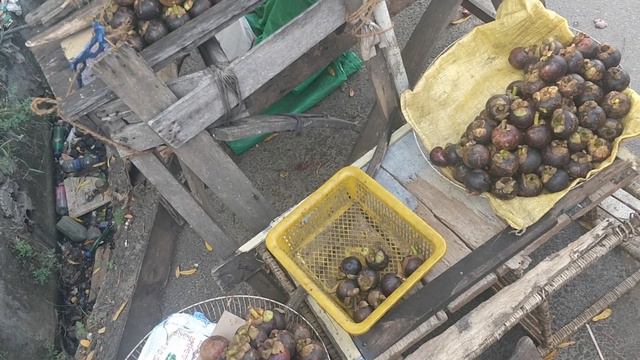 Мангустины - диковинный фрукт смотреть онлайн