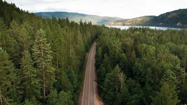 16 ПРОСТЫХ СПОСОБОВ СНЯТЬ СТРЕСС И УСПОКОИТЬ НЕРВЫ смотреть онлайн
