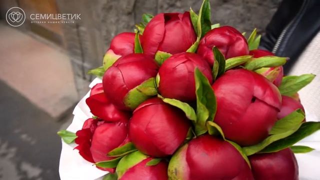 21 бордовый пион в большой белой шляпной коробке смотреть онлайн