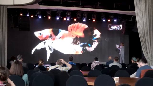 Гоморева О.Н. «Петушки (Betta) — новинки селекции» смотреть онлайн