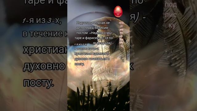 Что делать в неделю мытаря и фарисея? смотреть онлайн