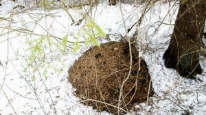 Апрель! Апрель! На дворе звенит капель