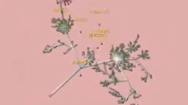 ruslanix.com Gource software version control visualization - Symfony 1.4 смотреть онлайн