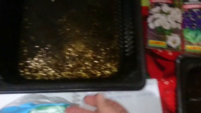 Всходы эустомы 100% смотреть онлайн