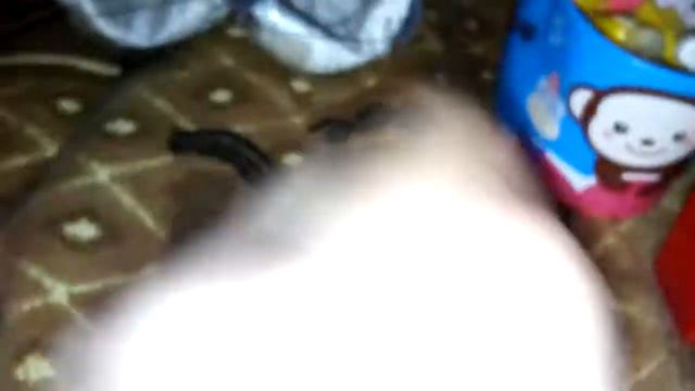 Пеленальный дом где живут мои мини-- реборны(лол) смотреть онлайн