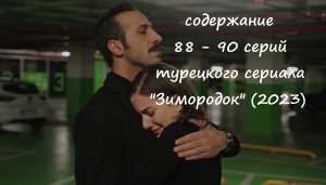 Содержание 88, 89 и 90 серий турецкого сериала «Зимородок» (РФ, 2023)