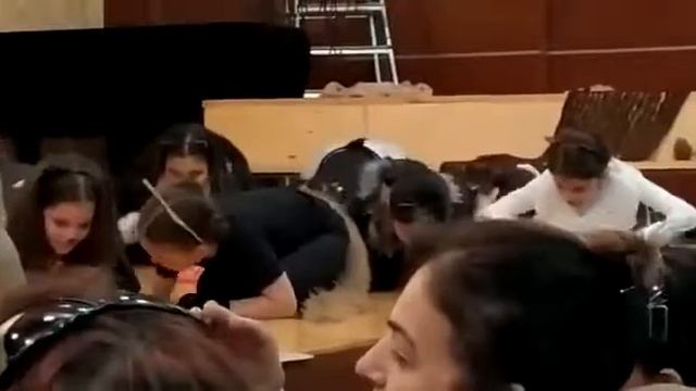 Кошачья хороводная смотреть онлайн