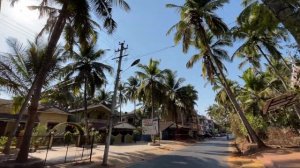 Потрясающая Индия, ГОА. Деревня Бенаулим. Цветы, пальмы, все зеленое, гуляю наслаждаюсь