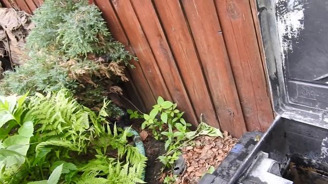 Общий обзор. Фильтр для пруда. Biotec Oase. Часть 2 смотреть онлайн