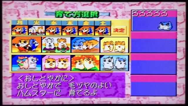 29/85 . Hamster Monogatari 64 смотреть онлайн